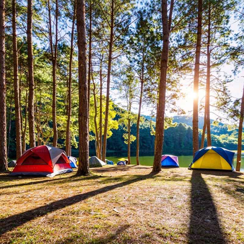 Camping ting